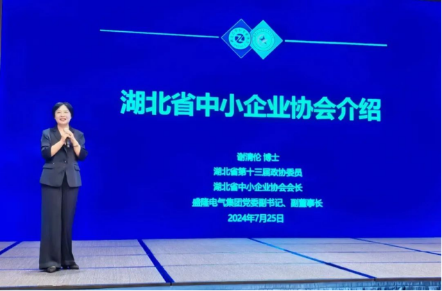 世恒授牌 | 湖北省中小企業(yè)協(xié)會(huì)會(huì)長(zhǎng)辦公會(huì)圓滿落幕 世恒授牌 | 湖北省中小企業(yè)協(xié)會(huì)會(huì)長(zhǎng)辦公會(huì)圓滿落幕